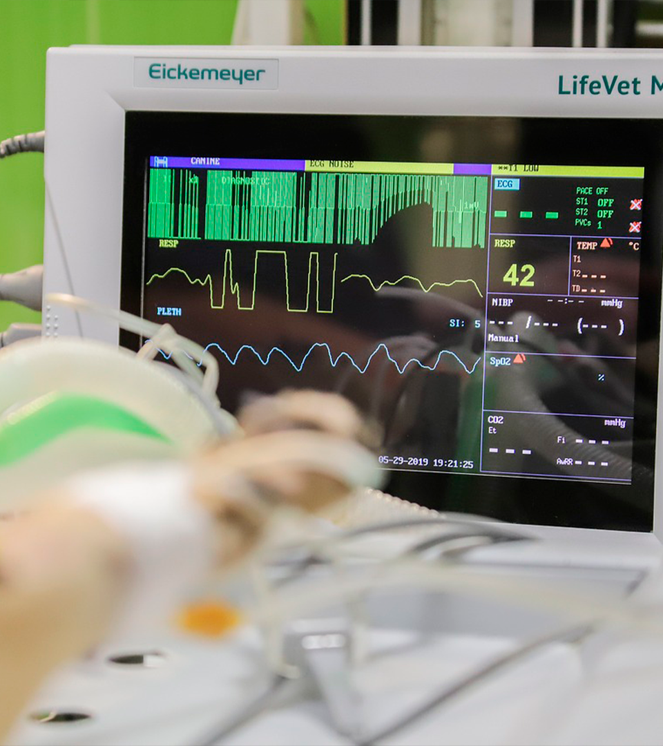 Maestro Rogelio German Mendez