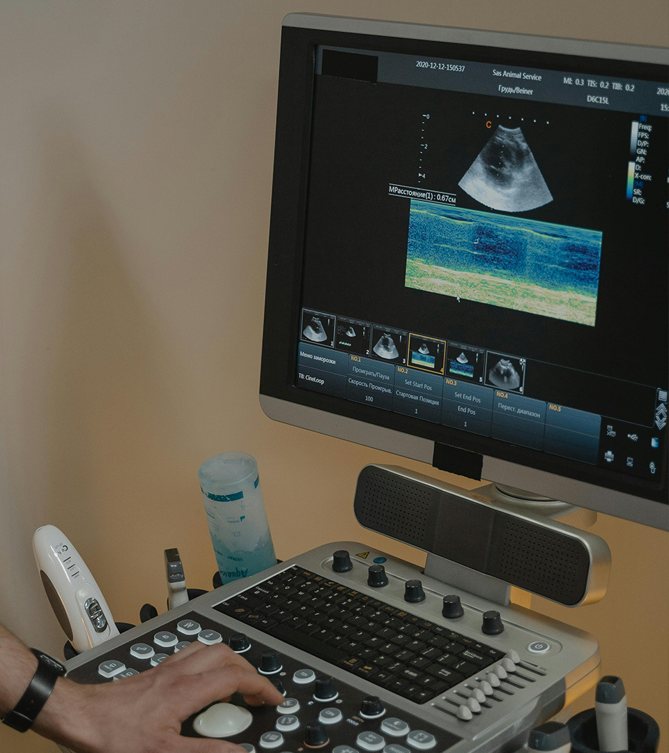 Maestro Rogelio German Mendez